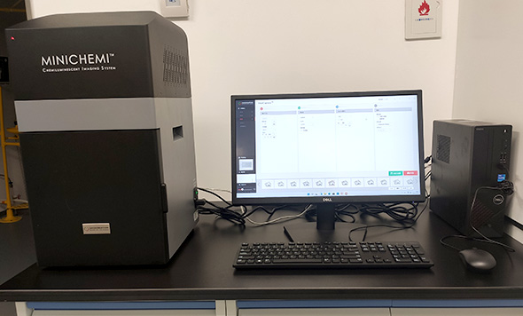 NEWS：12臺森西賽智化學(xué)發(fā)光、熒光、凝膠成像系統(tǒng)落戶海南省崖州灣種子實驗室