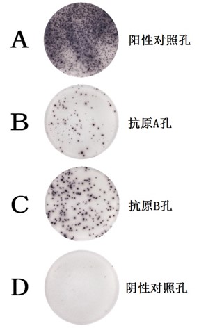 圖片3.jpg 圖片3.jpg