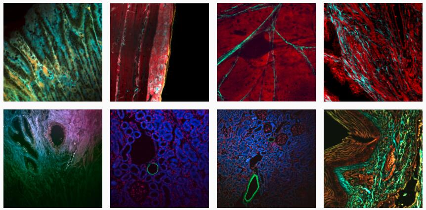 QQ截圖20201126164047.jpg QQ截圖20201126164047.jpg