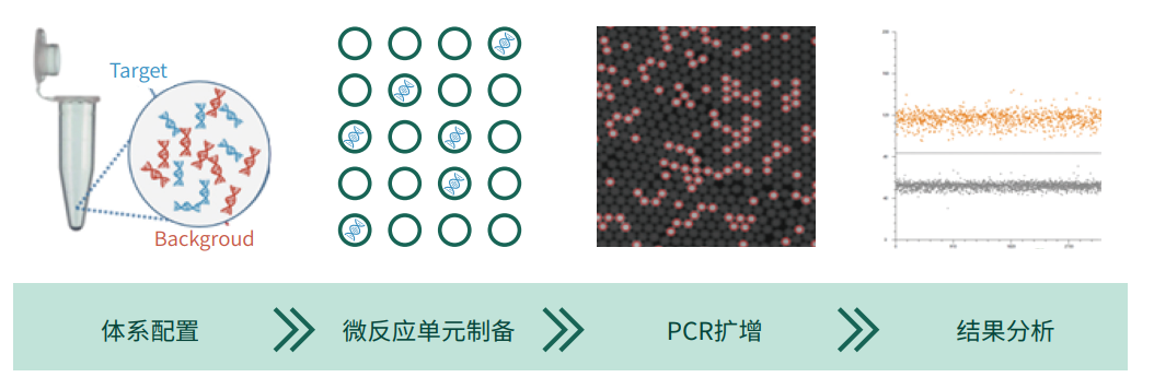 QQ截圖20211026164339.png QQ截圖20211026164339.png