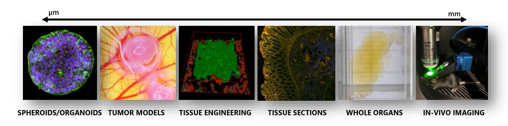 聯(lián)想截圖_20230801165239.png 聯(lián)想截圖_20230801165239.png