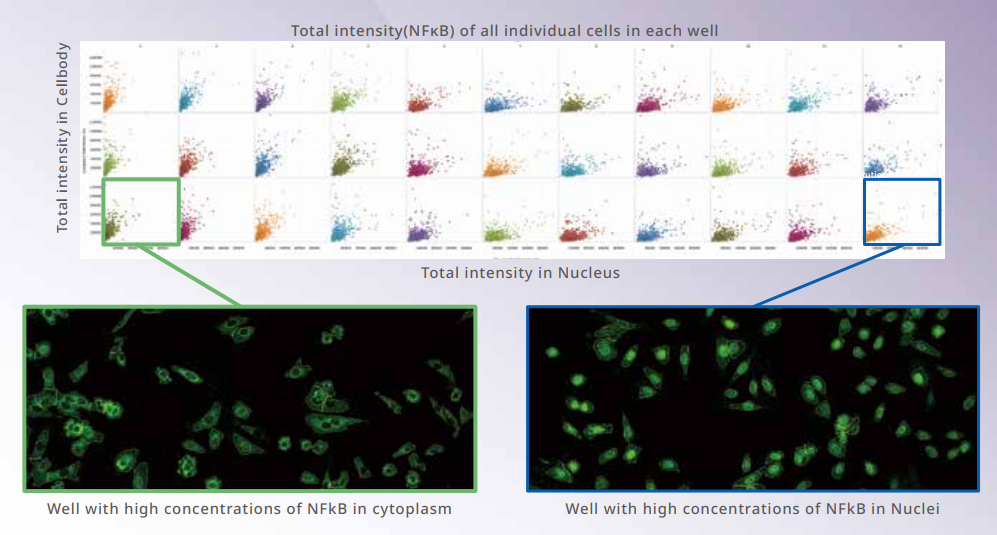 應(yīng)用2-2.png 應(yīng)用2-2.png