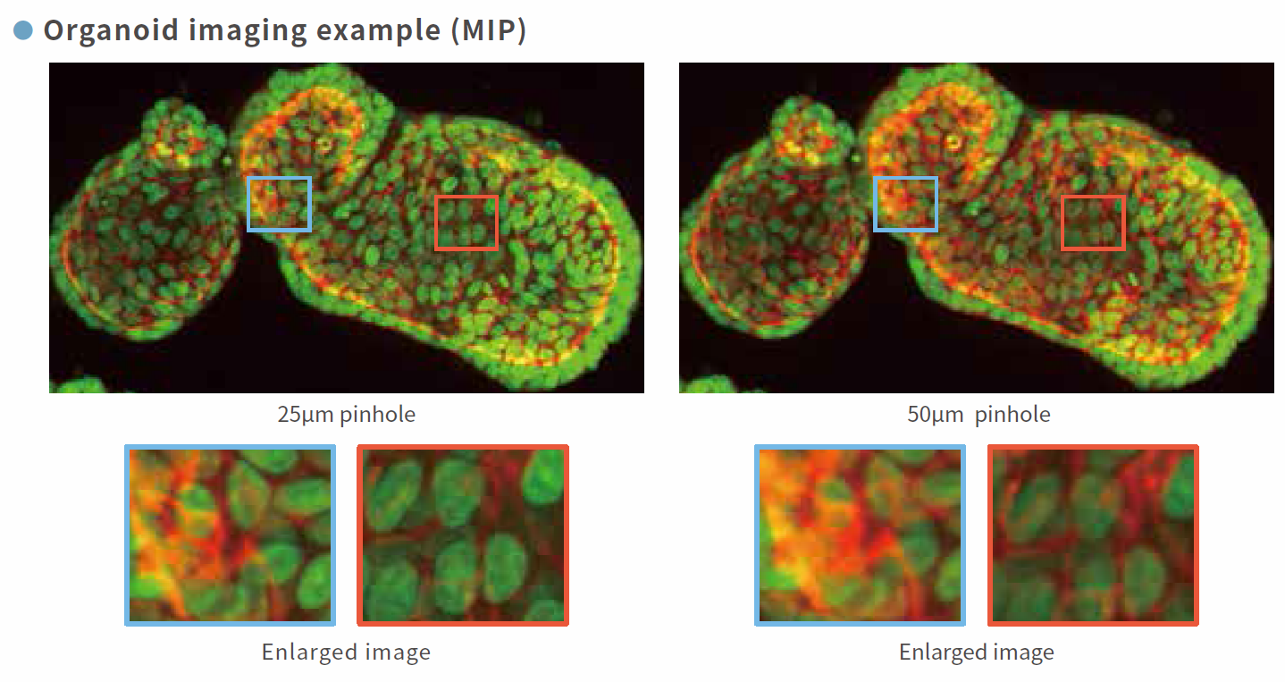 特點2.png 特點2.png