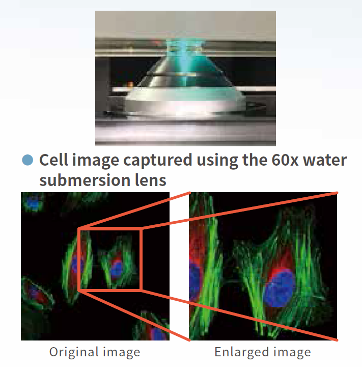 特點4.png 特點4.png
