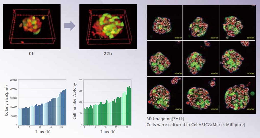應(yīng)用3-2.png 應(yīng)用3-2.png
