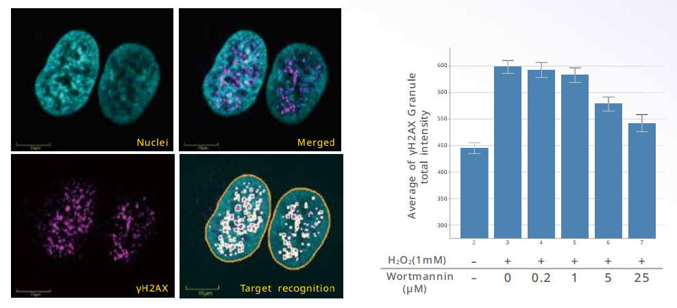 應(yīng)用2-1.png 應(yīng)用2-1.png