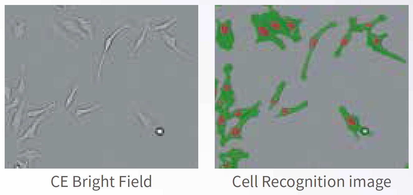 應(yīng)用4.png 應(yīng)用4.png