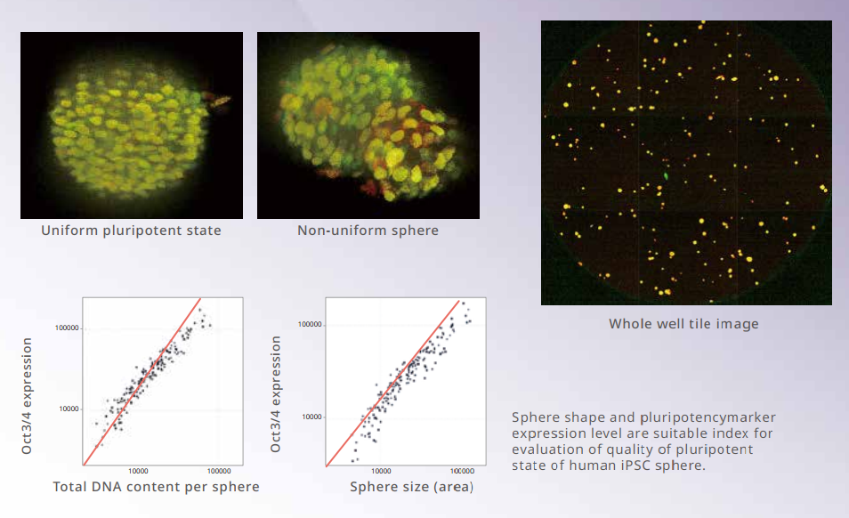 應(yīng)用1-2.png 應(yīng)用1-2.png