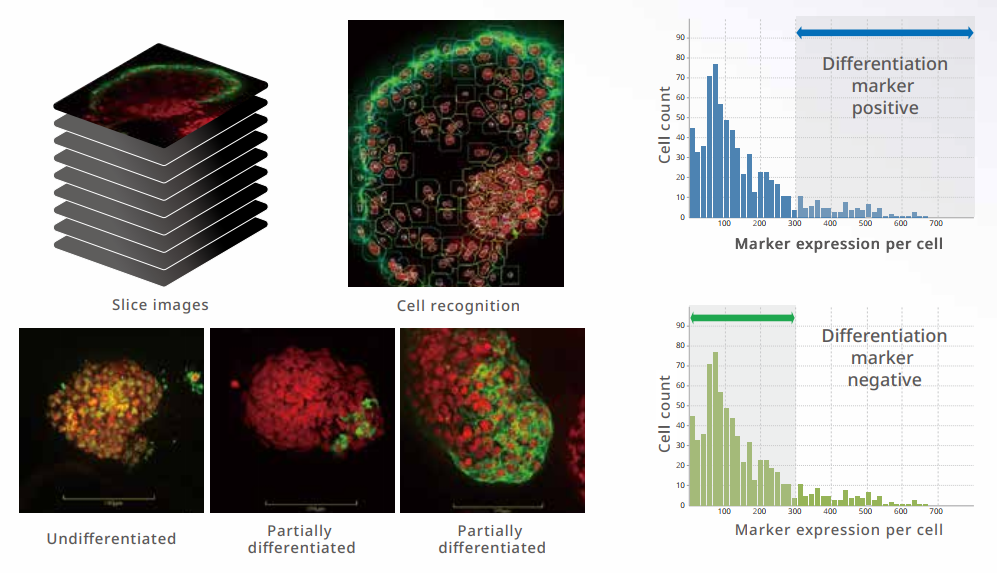 應(yīng)用1-1.png 應(yīng)用1-1.png
