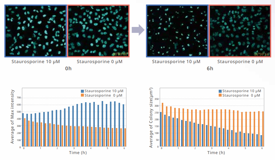 應(yīng)用3-1.png 應(yīng)用3-1.png