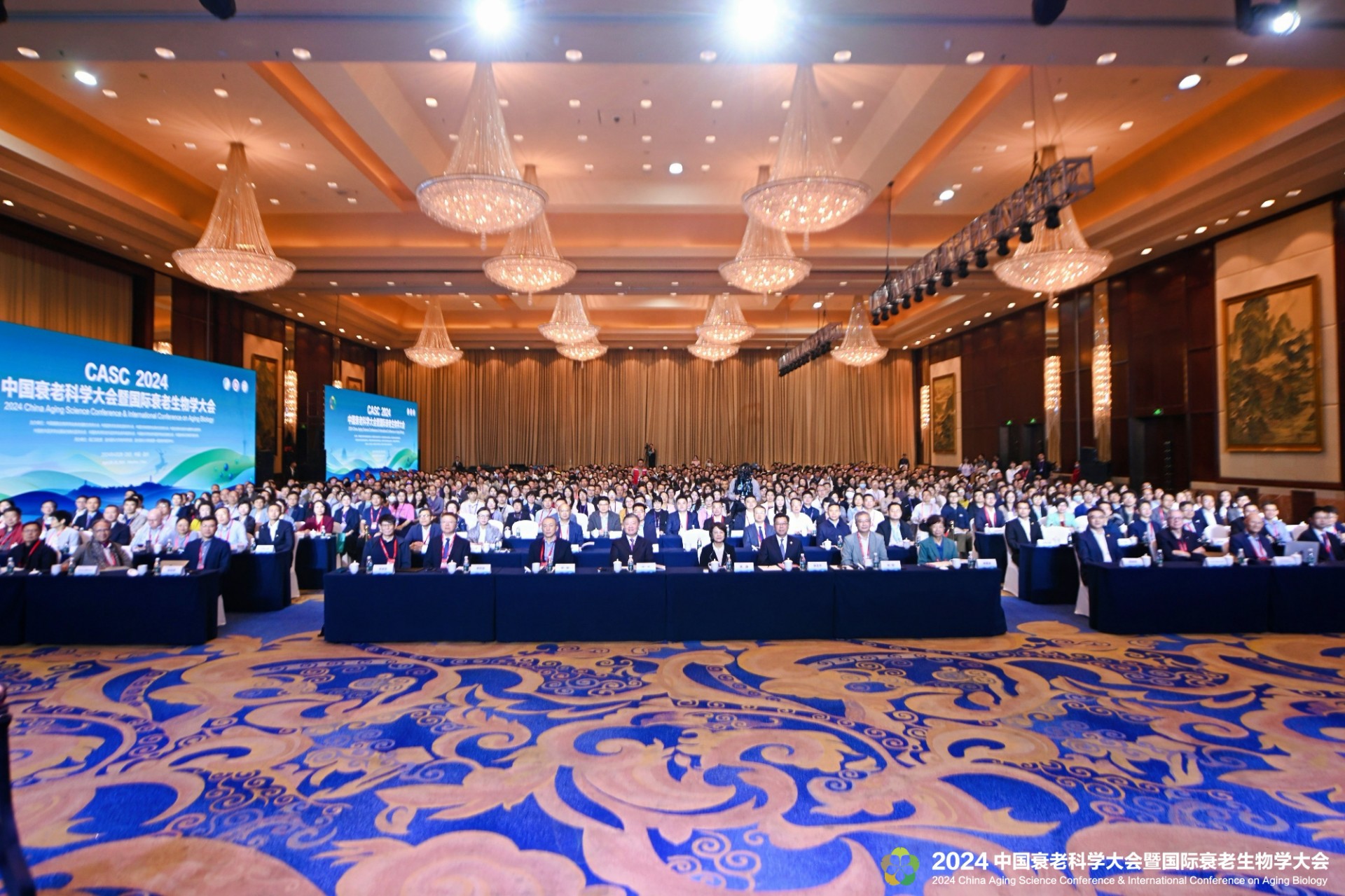 DSC_1447-opq810608104.jpg DSC_1447-opq810608104.jpg