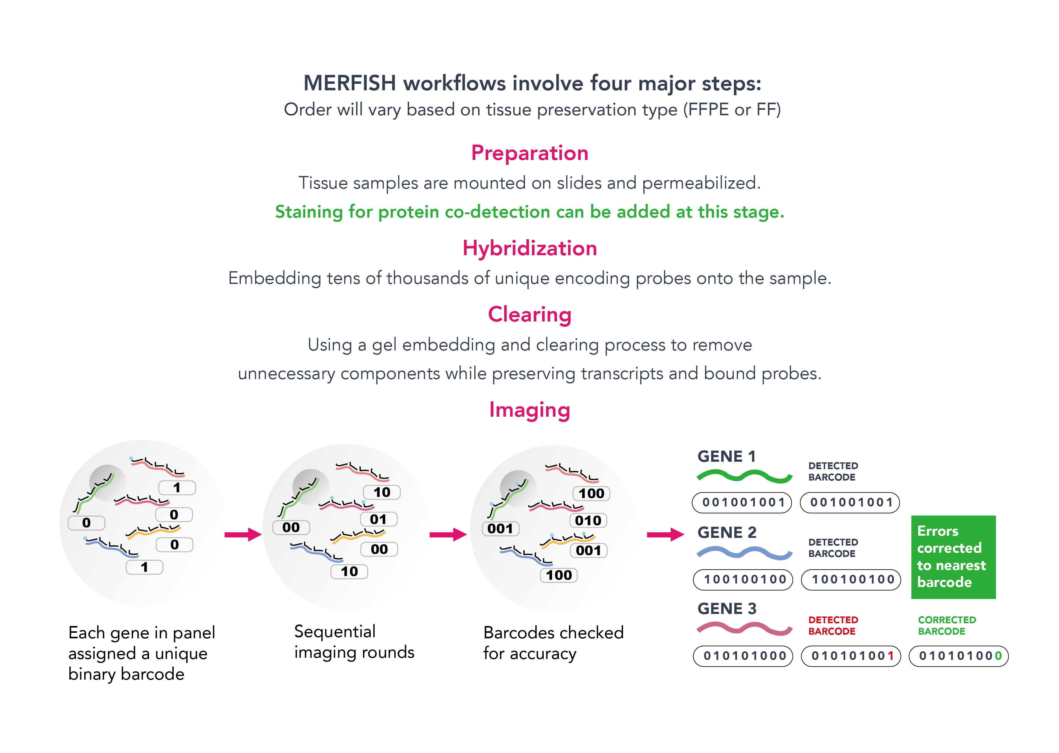 MERFISH.png MERFISH.png