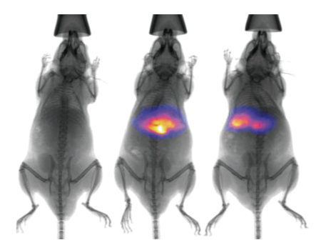 小動物活體光學(xué)成像系統(tǒng)