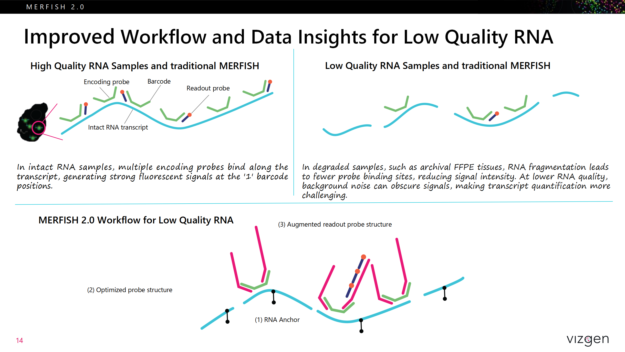 MERFISH 2.0 - Pitch Deck - 20250417_01.png MERFISH 2.0 - Pitch Deck - 20250417_01.png